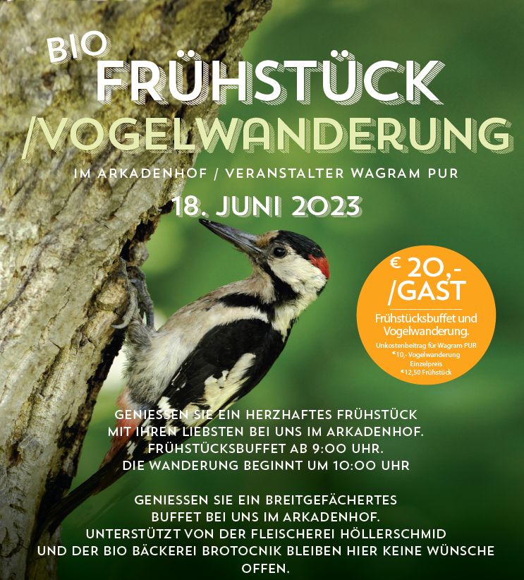 Vogel und Frühstück